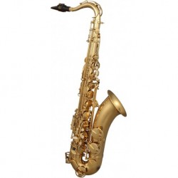 SML Paris T420-II - Saxophone Tenor Sib laiton verni avec softcase et accessoires