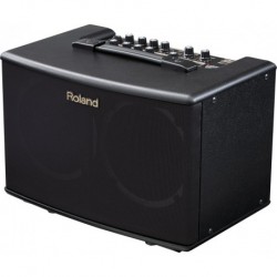 Roland AC-40 - Ampli pour guitare acoustique Chorus 35w 2x6.5"