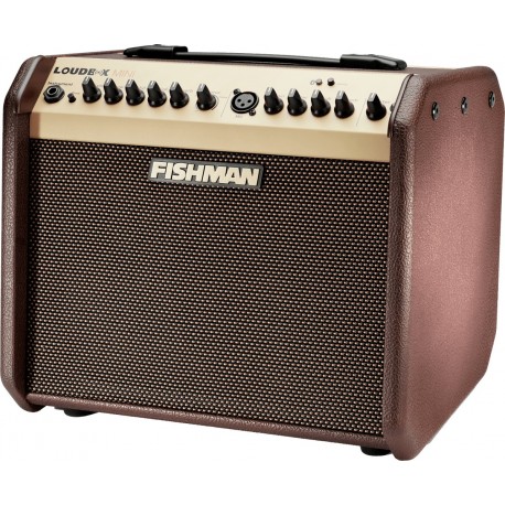 Fishman PRO-LBT-500 - Ampli combo Loudbox Mini 60 watts bluetooth pour guitare acoustique et micro