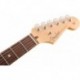 Fender American Pro Stratocaster® HH ShawBucker™ - Guitare électrique Rosewood Fingerboard Antique Olive avec étui