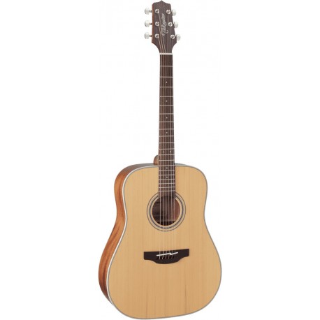 Takamine GD20NS - Guitare acoustique dreadnough natural satin table cèdre massif