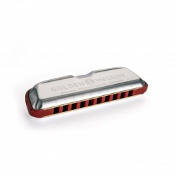 Hohner 544/20 C - Harmonica diatonique Golden Melody Progressive 10 trous en Do