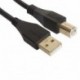 Udg U 95002 BL - Câble USB 2.0 A-B Noir Droit 2m