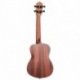 Ortega RFEU-1 - Ukulele concert table épicéa avec motif naturel satiné