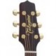 Takamine P5NC - Guitare electro-acoustique Auditorium table épicéa massif préampli Cooltube avec étui