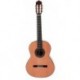 Prodipe Guitars SOLOIST 900 R 4/4 - Guitare classique 4/4 table cedre massif, fond et éclisses palissandre massif