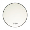 Sparedrum AS12CL - Peau 12'' Alverstone Transparente - 1 pli - 10 mil