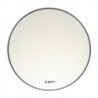 Sparedrum FO13CL - Peau Timbre CC 13" Foster Transparente - 1 pli - 3 mil