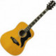Eko RANGERVR6-NAT - Guitare acoustique Ranger VR VI Dreadnought Vintage Natural