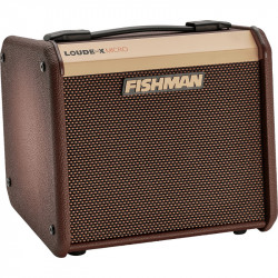 Fishman PRO-LBT-400 - Ampli combo Loudbox Micro 40 watts 2 canaux XLR et Jack pour guitare acoustique et micro
