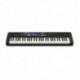 Casio CT-S500 - Clavier 61 touches dynamiques noir avec accompagnements et controle d'effets live